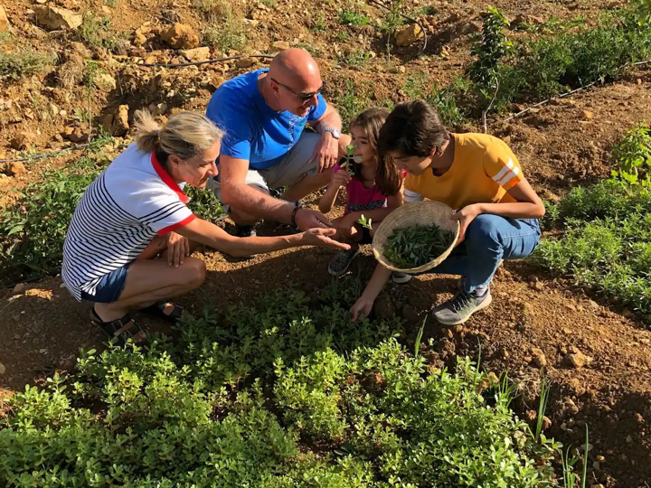 Local products & rural activities / Cezar’s Projects, Lebanon Mountain Trail